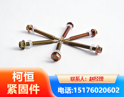 潜江六角钻尾丝